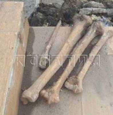 Останки обнаружены при ремонте улицы Кожевенной в Нижнем Новгороде - vgoroden.ru - Нижний Новгород