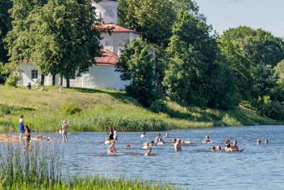 Пскович на моторной лодке не заметил женщину в кувшинках - mk-pskov.ru - Псков