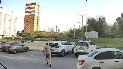 Собаки набросились на игравших во дворе детей. Видео - vesti.ru - Волгоград