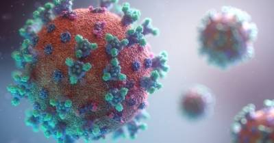Британские ученые выяснили, почему при COVID-19 исчезает обоняние и вкус - delo.ua - Англия