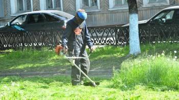 Сергей Воропанов - Подрядчик, занимающийся покосом травы в Вологде, не справился с поставленной задачей - vologda-poisk.ru - Башкирия - Вологда