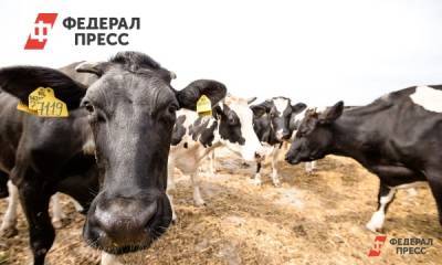 Олег Кувшинников - Вологодских производителей мяса поддержат из-за роста цен - fedpress.ru - Вологодская обл. - Вологда