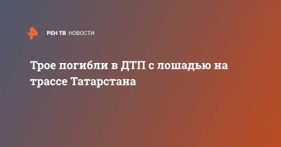 Трое погибли в ДТП с лошадью на трассе Татарстана - ren.tv - респ. Татарстан - район Мензелинский