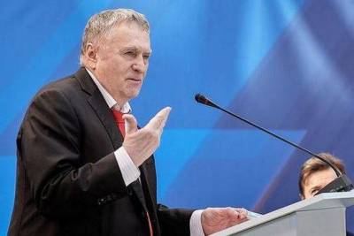 Владимир Жириновский - Жириновский предложил выплачивать россиянкам по полмиллиона рублей за отказ от аборта - versia.ru