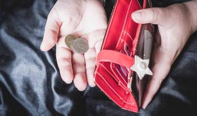 В мае вновь начали расти долги по зарплате - newizv.ru