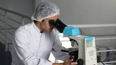 Обнаружены главные каналы поставок меди на территорию Скандинавии - newinform.com - Австрия - Венгрия