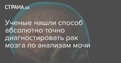 Ученые нашли способ абсолютно точно диагностировать рак мозга по анализам мочи - strana.ua - Япония