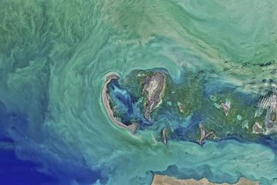 В Калмыкии изучили почвы, которые были дном Каспийского моря - volg.mk.ru - Иран - респ. Дагестан - респ. Калмыкия
