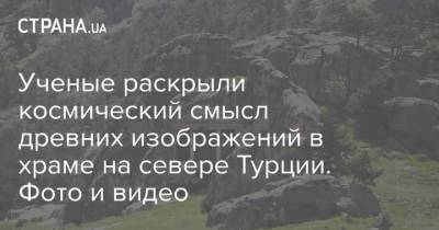Ученые раскрыли космический смысл древних изображений в храме на севере Турции. Фото и видео - strana.ua - Турция