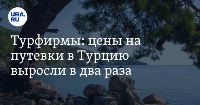Турфирмы: цены на путевки в Турцию выросли в два раза - ura.news - Москва - Турция