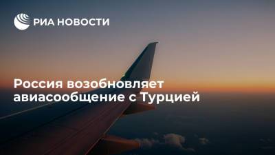 Татьяна Голикова - Россия возобновляет авиасообщение с Турцией - ria.ru - Москва - Россия - Турция - Стамбул