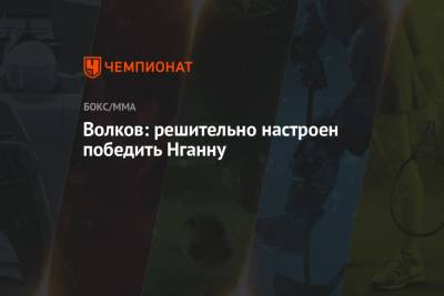 Александр Волков - Фрэнсис Нганн - Волков: решительно настроен победить Нганну - championat.com - Гана