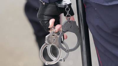 В Приморском крае задержали подозреваемых в двух поджогах автомобилей - iz.ru - Приморье край - Владивосток