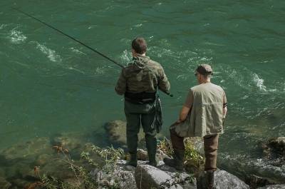 В России разрешат разводить рыбу в больших прудах на водотоках - pnp.ru