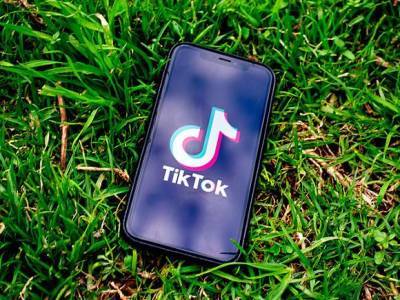 Житель Приморья получил два года за видео в TikTok - rosbalt.ru - Приморье край