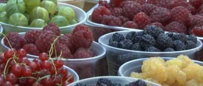 Андрей Новак - Экономист рассказал о ситуации с ценами на овощи и фрукты - w-n.com.ua