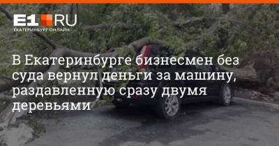 В Екатеринбурге бизнесмен без суда вернул деньги за машину, раздавленную сразу двумя деревьями - e1.ru - Екатеринбург