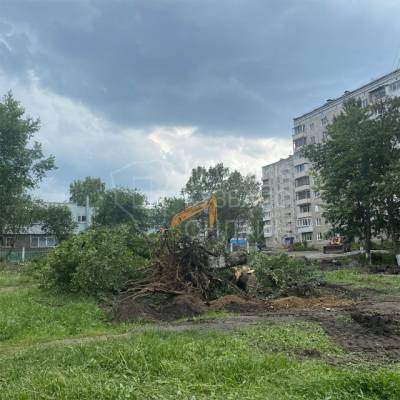 Кемеровчане пожаловались на вырубку деревьев на Волгоградской улице - gazeta.a42.ru - Кемерово