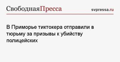 В Приморье тиктокера отправили в тюрьму за призывы к убийству полицейских - svpressa.ru - Москва - Берлин - Приморье край - Омск - респ. Карачаево-Черкесия