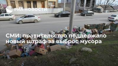 "Российская газета": правительство поддержало идею ввести штрафы за выброс мусора из машин - ria.ru - Москва - Россия