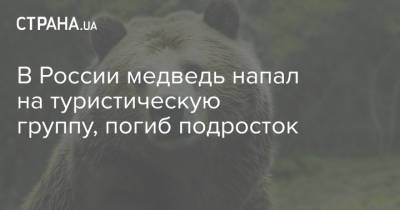 В России медведь напал на туристическую группу, погиб подросток - strana.ua - Россия - Красноярский край - Красноярск