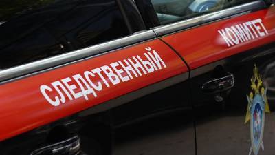 В Новосибирске следователи проверят факт нападения мужчины на подростка - iz.ru - Новосибирск - Новосибирская обл.
