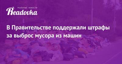 В Правительстве поддержали штрафы за выброс мусора из машин - readovka.news - Россия