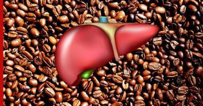 Неожиданный эффект кофе на один из важных органов человека выявили ученые - profile.ru