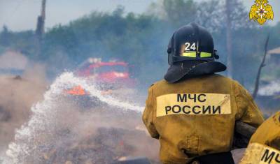 Семь построек сгорели в крупном пожаре в селе Курганской области - nashgorod.ru - Курганская обл.