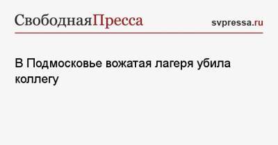 В Подмосковье вожатая лагеря убила коллегу - svpressa.ru - Московская обл. - Берлин - Приморье край - Омск - респ. Карачаево-Черкесия - район Пушкинский