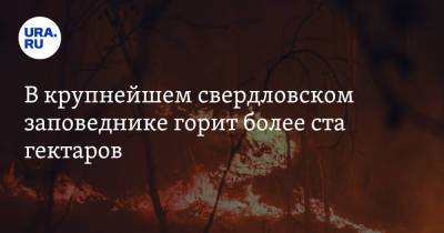 В крупнейшем свердловском заповеднике горит более ста гектаров - ura.news - Свердловская обл.