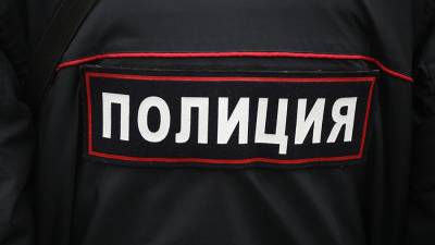 Названа предположительная причина убийства вожатой в лагере под Москвой - iz.ru - Москва - Московская обл.