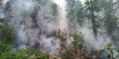 Площадь пожаров в уральском заповеднике «Денежкин камень» превысила 114 га - runews24.ru - Свердловская обл.