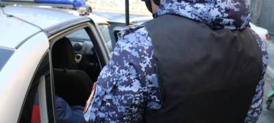В Карелии буйные посетители стреляли из пневматики и крушили посуду - stolicaonego.ru - Санкт-Петербург - республика Карелия