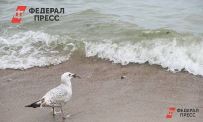 На южных российских курортах прокомментировали открытие Турции для туристов - fedpress.ru - Сочи - Турция - Геленджик