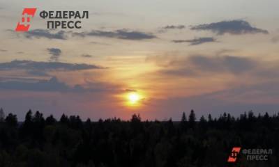 В Тюменской области впервые с мая не возникло новых природных пожаров - fedpress.ru - Тюмень - Тюменская обл.