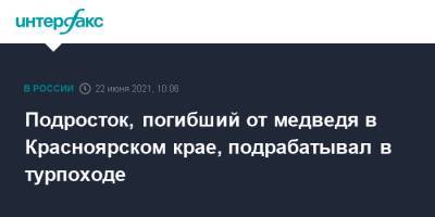 Подросток, погибший от медведя в Красноярском крае, подрабатывал в турпоходе - interfax.ru - Москва - Красноярский край