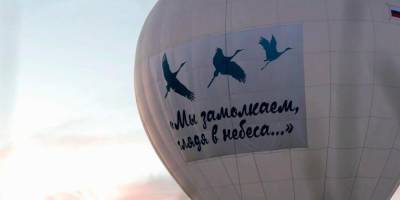 Активисты Российского движения школьников запустили баннер с журавлями в память о погибших в войне - ruposters.ru - Московская обл.