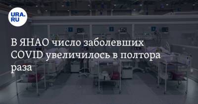В ЯНАО число заболевших COVID увеличилось в полтора раза - ura.news - окр. Янао