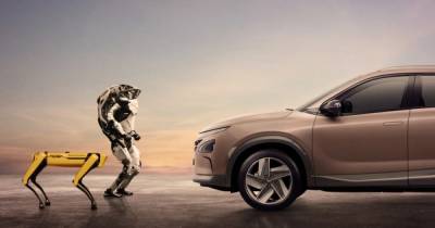 Hyundai выкупила Boston Dynamics: теперь роботов станет больше (видео) - focus.ua - Япония - Новая Зеландия - Boston