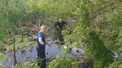 В пруду в Богословке обнаружили тело пропавшего без вести мужчины - penzainform.ru - Пенза - район Пензенский - Сердобск