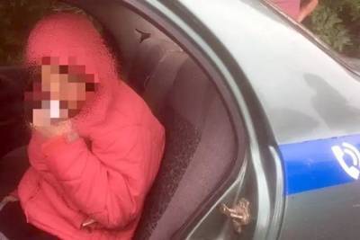 В Винницкой области спасатели сутки искали пропавшую без вести девушку - real-vin.com - Винницкая обл.