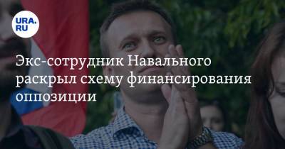 Экс-сотрудник Навального раскрыл схему финансирования оппозиции - ura.news - Таллин