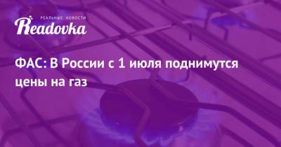 ФАС: В России с 1 июля поднимутся цены на газ - readovka.news - Казань - окр. Янао