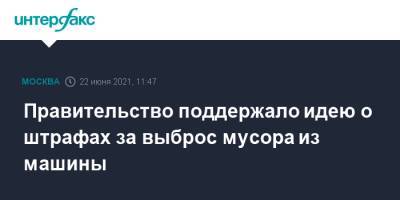 Алексей Шапошников - Правительство поддержало идею о штрафах за выброс мусора из машины - interfax.ru - Москва