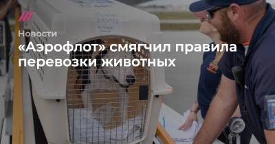 «Аэрофлот» смягчил правила перевозки животных - tvrain.ru