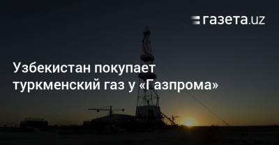 Елена Бурмистрова - Узбекистан покупает у «Газпрома» газ из Туркменистана - gazeta.uz - Узбекистан - Туркмения