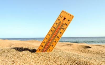 На Кипре будет +39 к концу недели - vkcyprus.com - Кипр