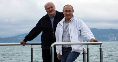 Владимир Путин - Александр Лукашенко - Николас Мадуро - Диего Марадон - Роман Протасевич - Белорусское поле экспериментов. Как Путин проверяет "красные линии" Запада, подставляя Лукашенко - focus.ua - Лондон - Венесуэла - Вильнюс - Таиланд