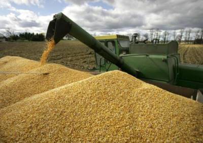 Эдуард Зернин - Россия возобновила поставки пшеницы в Алжир - trend.az - Россия - Алжир - Алжирская Народная Демократическая Республика